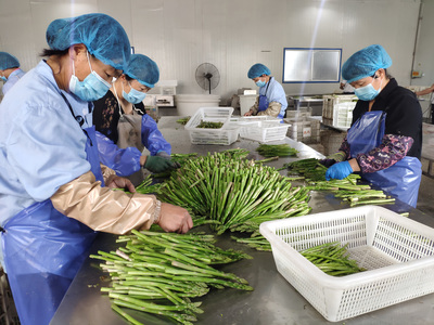 产业带动就业 解析互联网销售的“造血式”岗位下沉逻辑
